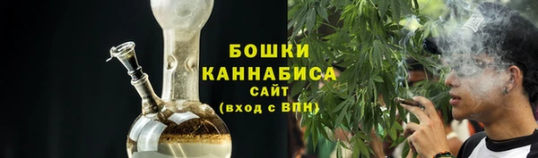 индика Осташков
