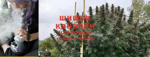 соль ск Осинники