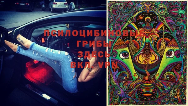 индика Осташков