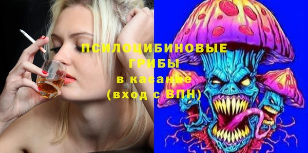 соль ск Осинники