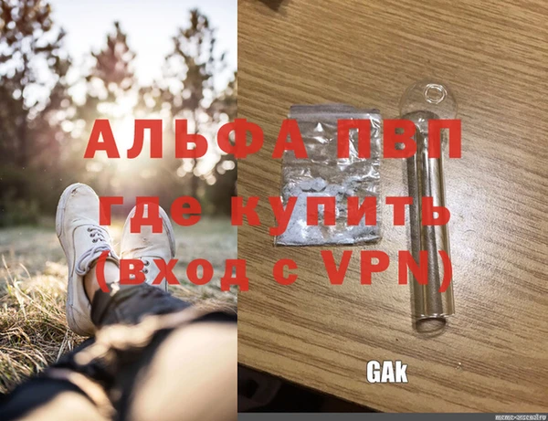 индика Осташков