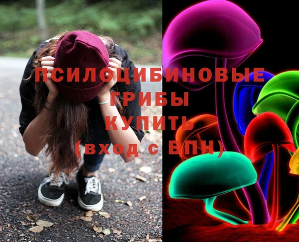 индика Осташков