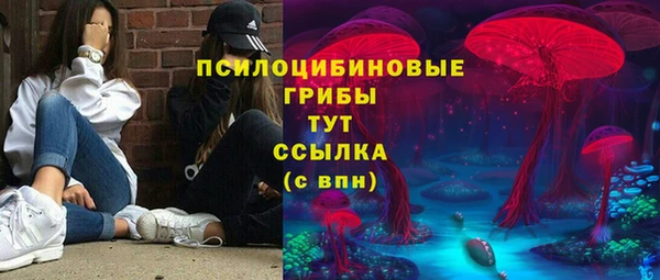 a pvp Абаза