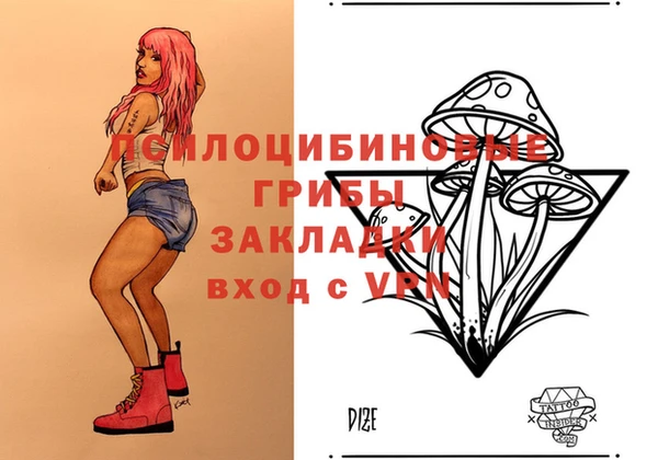 соль ск Осинники
