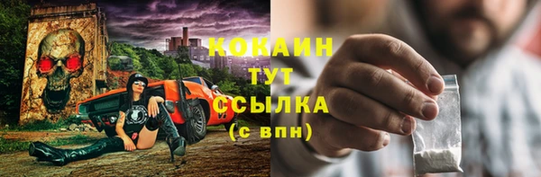 индика Осташков