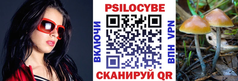 hydra как войти Фокино Галлюциногенные грибы Magic Shrooms