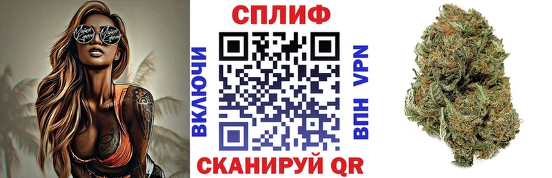 Бошки Шишки Amnesia где купить наркоту Фокино